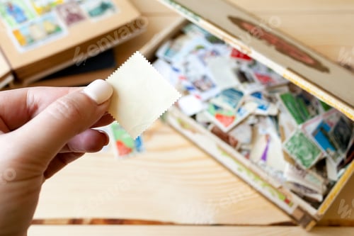 Preview: Hand holds a blank postage stamp