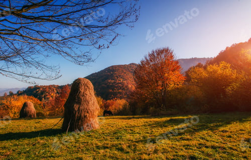 Preview: Beautiful sunny day is in mountain landscape. Carpathian, Ukrain