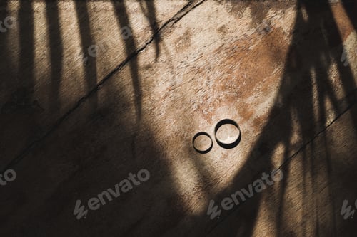 Preview: Jewelry shot of wedding rings on wooden texture with shadows of tropical leaves. Beautiful light