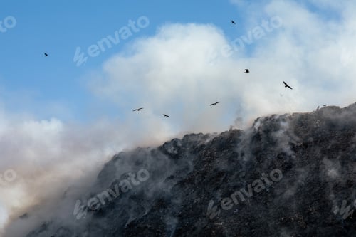Preview: Birds flying over landfill