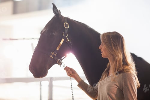 Preview: Young female stablehand leading nervous horse