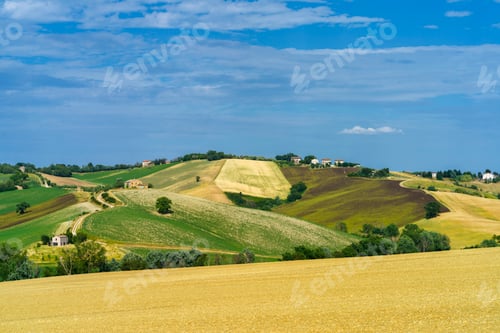 Preview: Rural landscape near Ostra Vetere and Cingoli, Marche, Italy