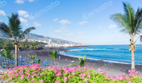 Preview: Puerto de la Cruz, Tenerife