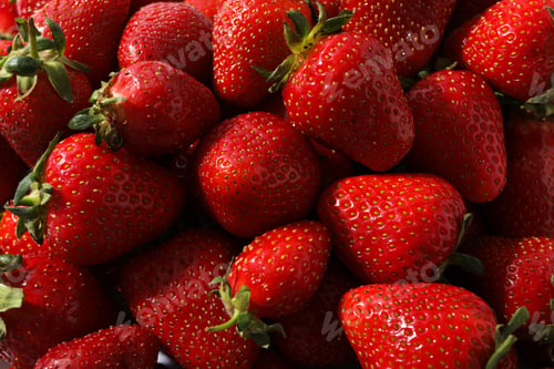 Preview: Strawberries with leaves on white background, close up