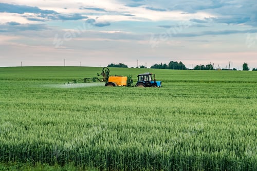 Preview: Farmer spraying wheat field with tractor sprayer at spring season