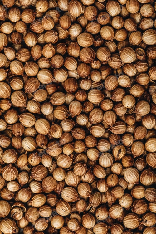 Preview: Coriander seeds. Coriander dry seeds background.