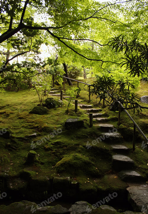 Preview: Vertical shot of the stairs passing through the forest surrounded by trees and grass