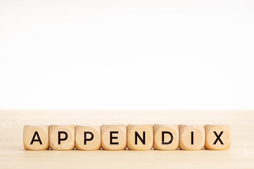 Preview: APPENDIX word on wooden blocks on wood table