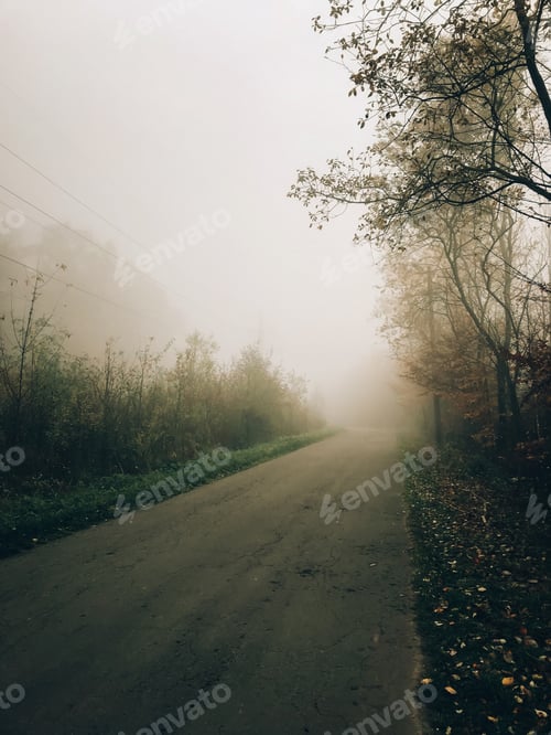 Preview: Autumn road in woods with fall leaves in foggy cold morning