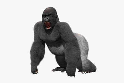 Preview: Furious Silverback Gorilla