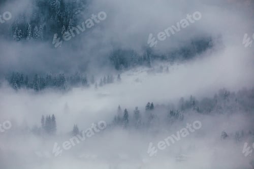 Preview: Winter postcard.