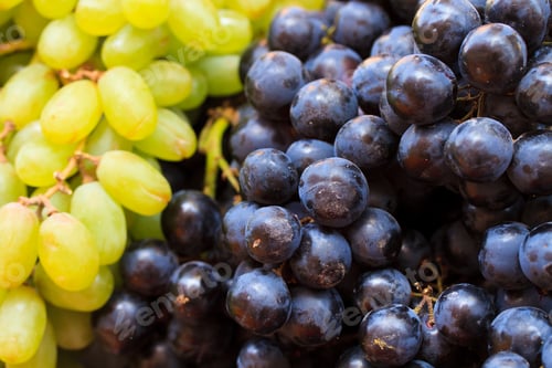 Preview: Grappes at the market