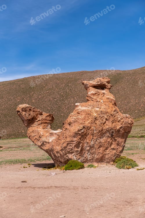 Preview: A camel rock formation in The Andean HIghlands, Bolivia