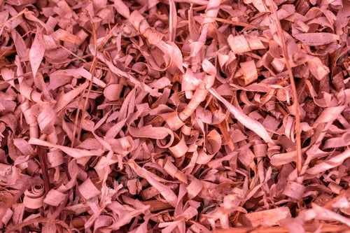 Preview: Old Abstract Texture Of Wooden Shaving For Background Of Red Coral Color