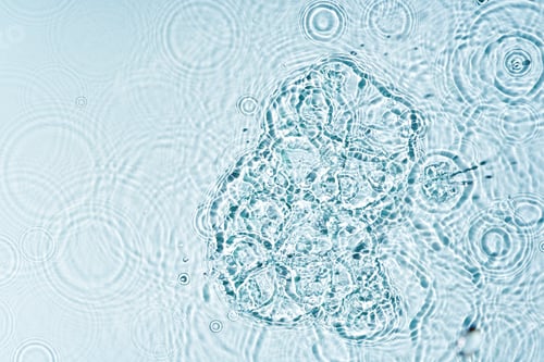 Preview: Gentle ripples form on a serene blue surface