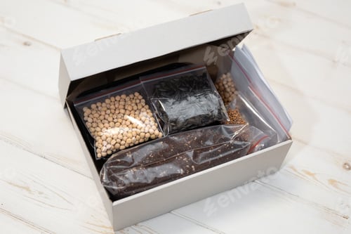 Preview: A set for growing microgreens of plants at home.