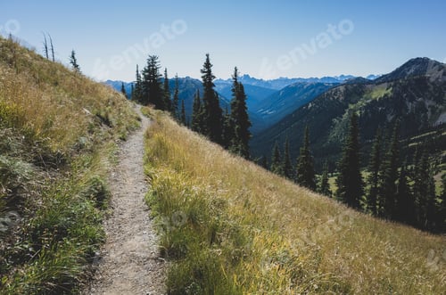 Preview: Path and alpine meadows of the Pacific Crest Trail