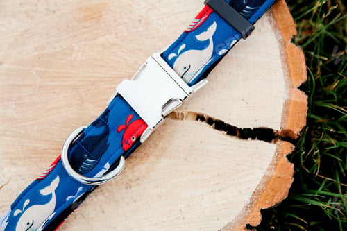 Preview: Dog Collar and Leash set. Pet Supplies and Walking Gear Collection