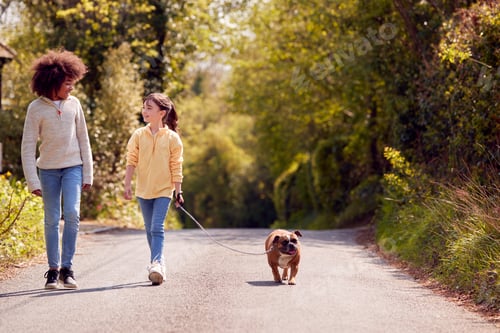 Preview: Two Children Walking Pet French Bulldog Dog Along Country Road
