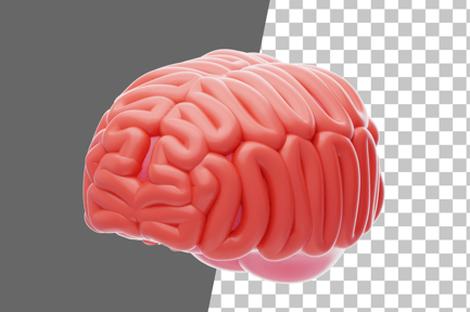Preview: Brain 3D Icon