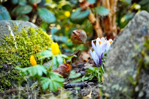Preview: Adding a little colour to springtime