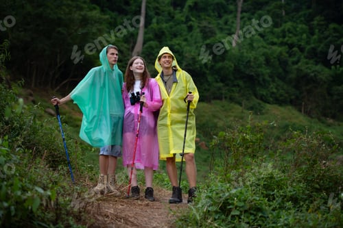 Preview: Group of happy friends in raincoats and raincoats looking at mountain and forest