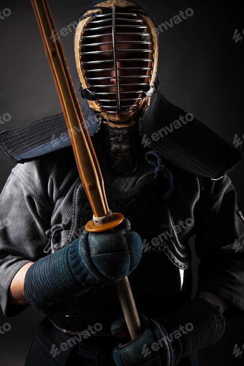 Preview: Kendo martial arts