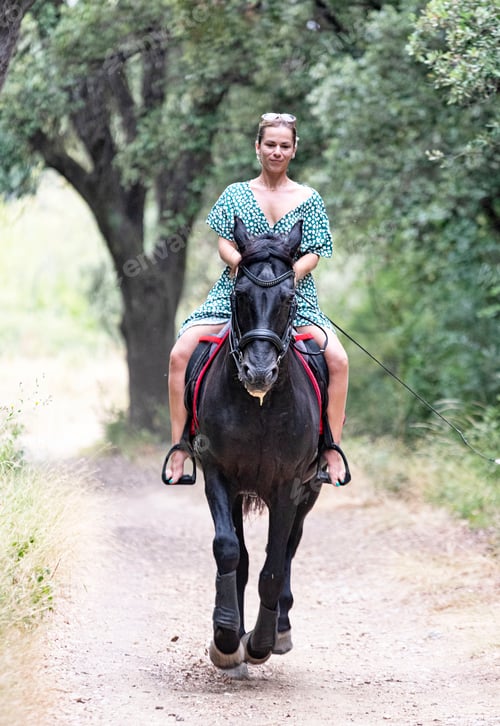 Preview: riding girl and horse