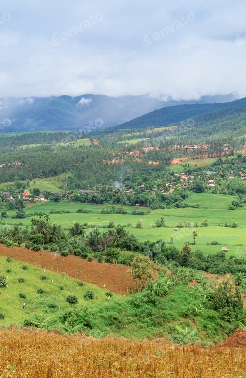 Preview: Farm in Chiang Mai Province
