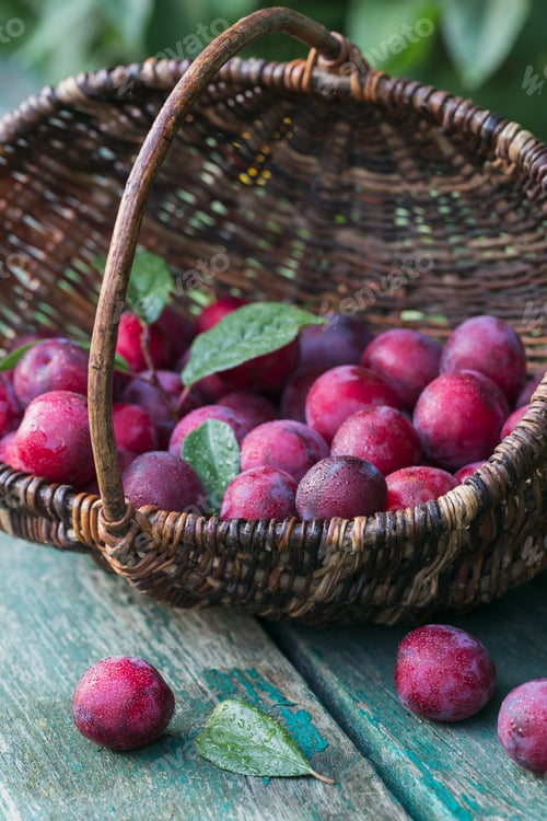 Preview: Fresh plums with leaves on rustic wooden table background.