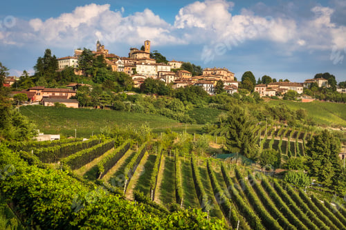 Preview: Neive village skyline and Langhe vineyards, Piedmont, Italy