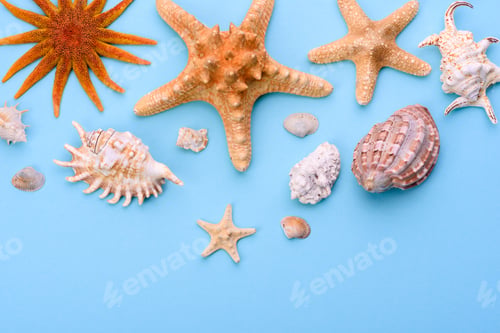 Preview: Beach accessories: glasses and hat with shells and sea stars on a colored background