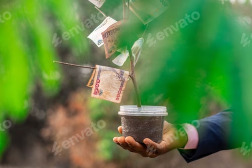 Preview: black businessman holding a money tree outdoor
