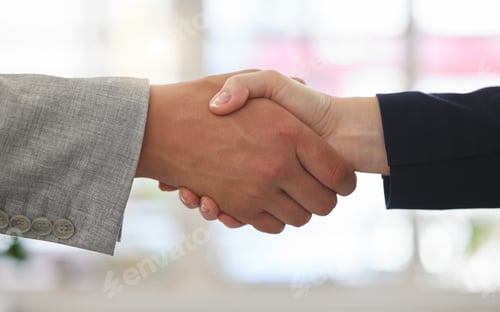 Preview: Two businesspeople shaking hands while in an office together at work. Business professionals greeti
