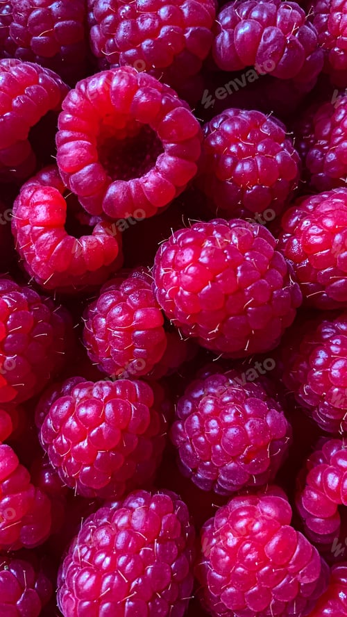 Preview: Raspberry background. Fruit full frame texture pattern fresh organic berries