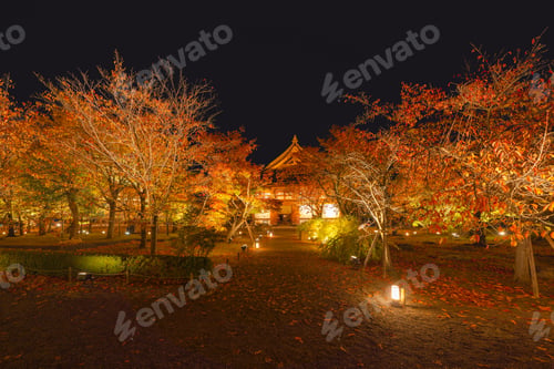 Preview: Red maple leaves or fall foliage in colorful autumn season, Yamanashi. Five lakes. Trees in Japan