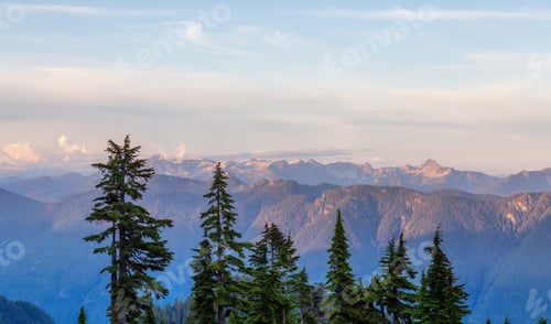 Preview: Green trees on top of Canadian Mountain Landscape. Sunny Sunset Sky. Nature Background