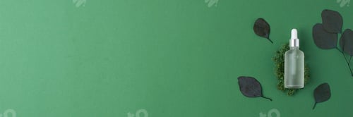 Preview: Cosmetic bottle on green background with moss, eucalyptus. Flat lay, copy space.