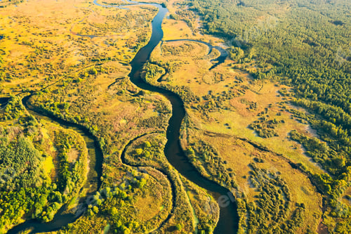 Preview: Aerial View Green Forest Woods And River Landscape In Sunny Summer Day. Top View Of Beautiful