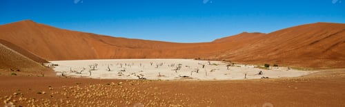 Preview: Dead Vlei - Sossusvlei - Namibia