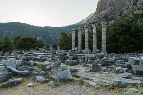 Preview: Columns of Priene