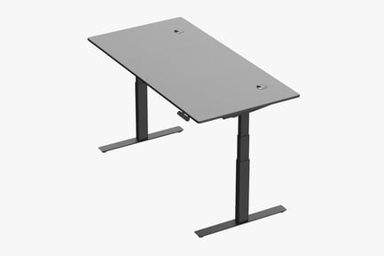 Preview: Adjustable Height Desk - Type 03