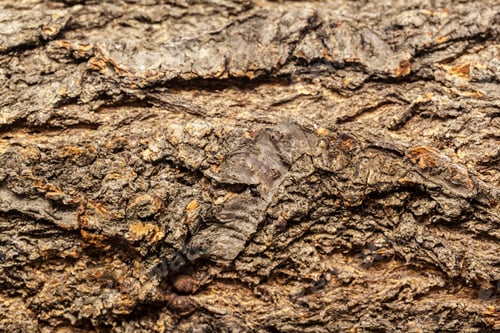 Preview: wooden background