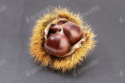 Preview: Open husk and sweet chestnuts inside