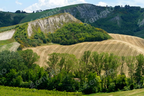 Preview: Rural landscape on the hills near Riolo Terme and Brisighella