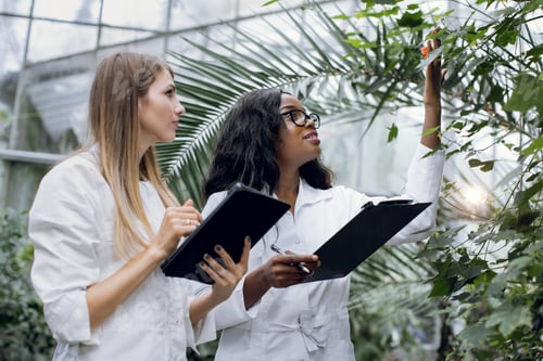 Preview: Caucasian woman agronomist and her African American colleague in lab coat, checking plants