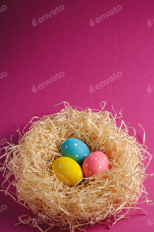 Preview: Colorful polka dot Easter eggs in wooden nest on pink purple background, greeting card