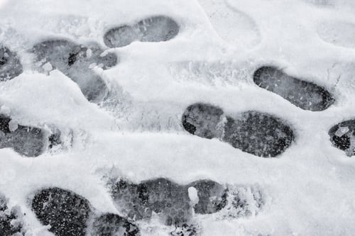 Preview: Lots of footprints in snow