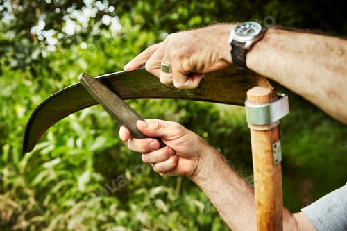 Preview: A gardener working sharpening a curved metal scythe blade with a file.
