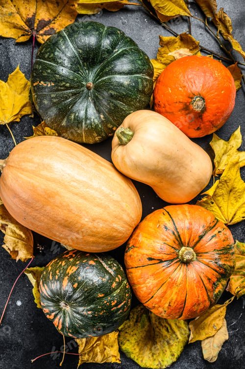 Preview: Diverse assortment of pumpkins on a table. Black background. Top view